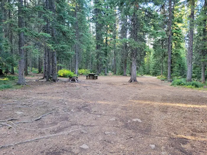 FISH CREEK GROUP USE photo 3