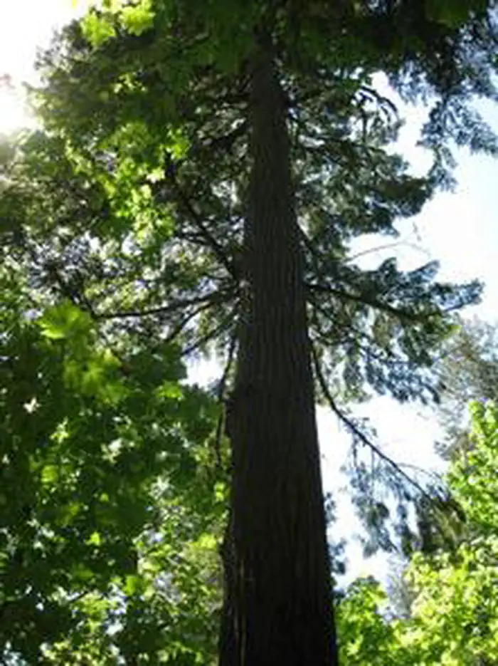 FISH CREEK (OR) photo 5