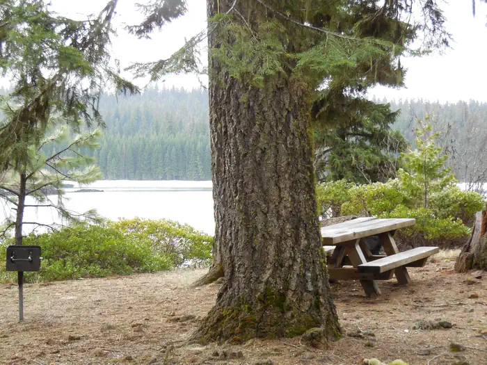 FISH LAKE CAMPGROUND - ROGUE RIVER photo 5