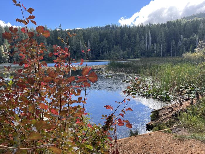 FISH LAKE CAMPGROUND photo 2
