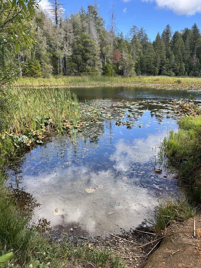 FISH LAKE CAMPGROUND photo 3
