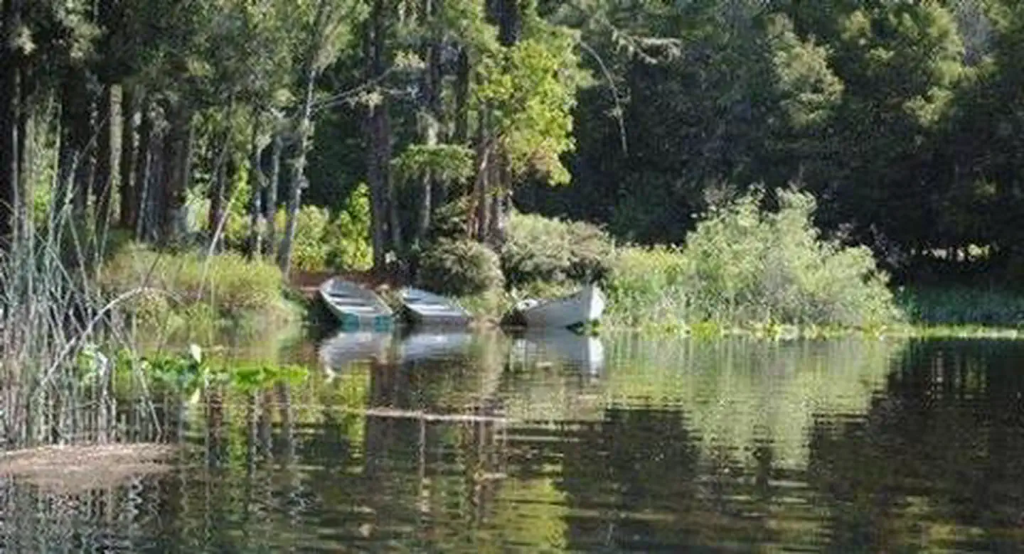 FISH LAKE CAMPGROUND photo 4
