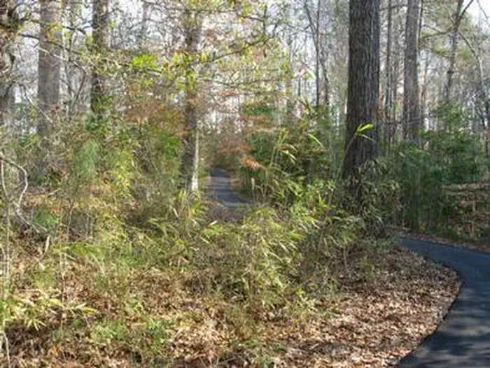 FLANNERS BEACH CAMPGROUND photo 2