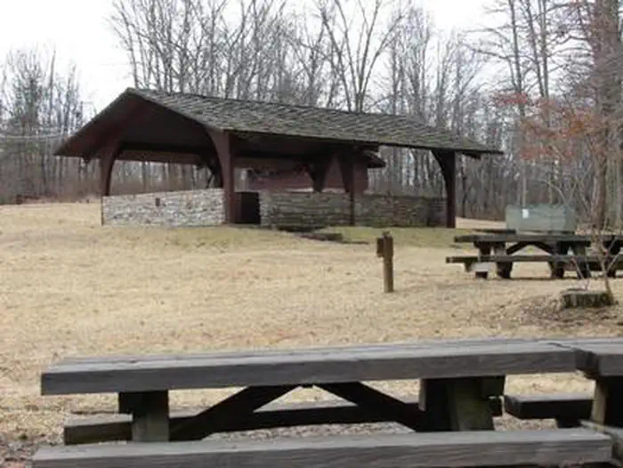 FLATWOODS GROUP PICNIC AREA photo