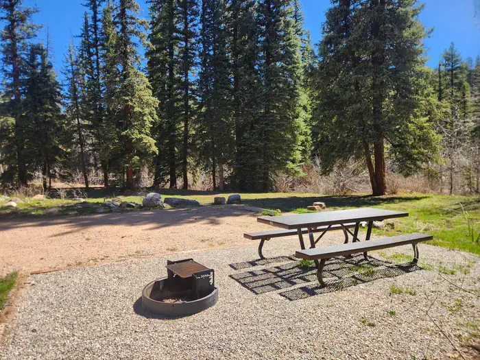 FLORIDA CAMPGROUND (CO) photo 2