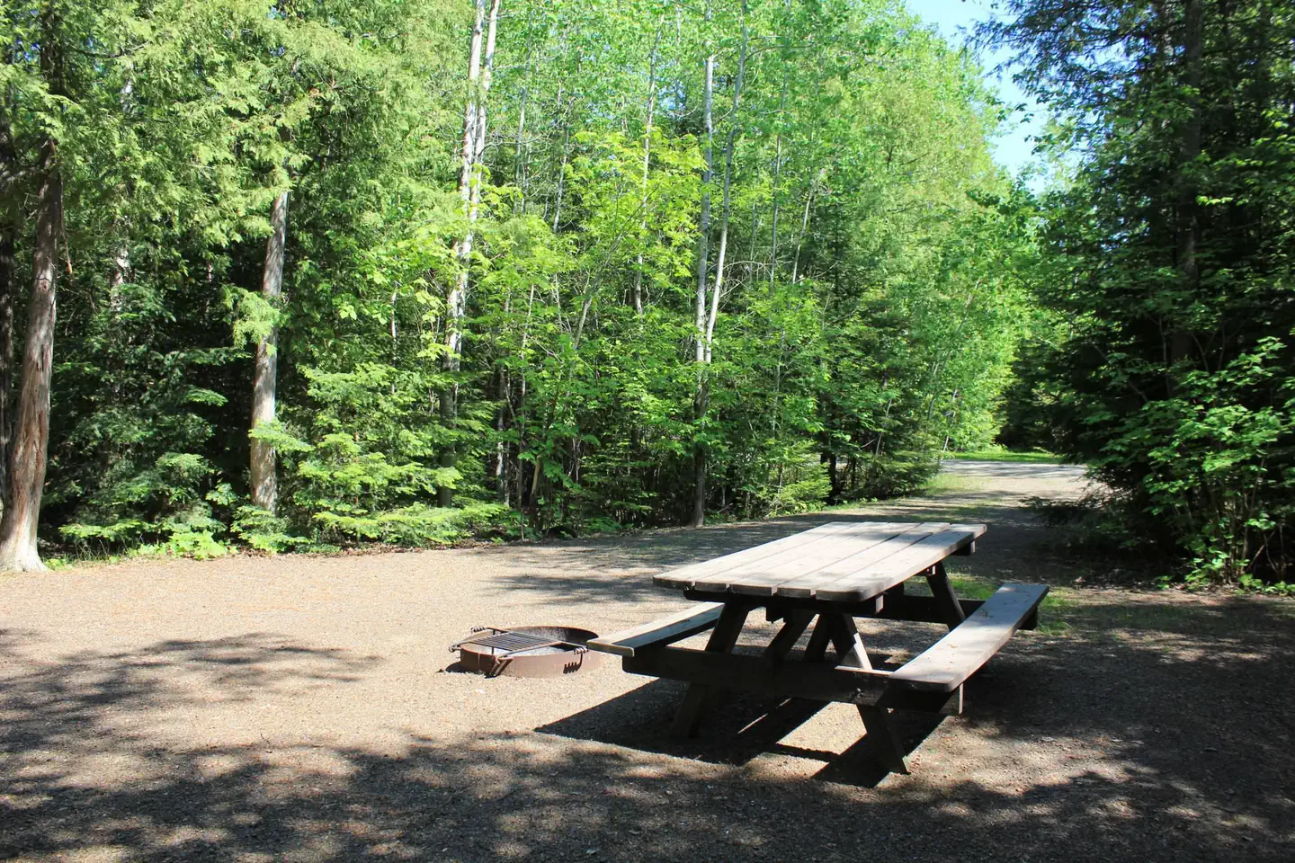 FLOUR LAKE CAMPGROUND photo 4