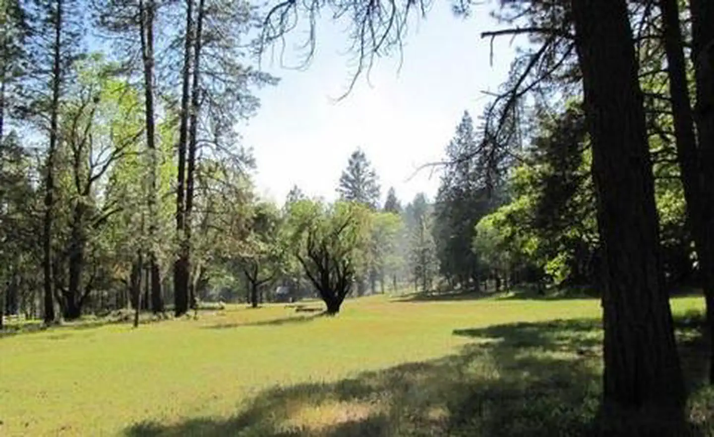 FLUMET FLAT GROUP CAMPGROUND photo 2