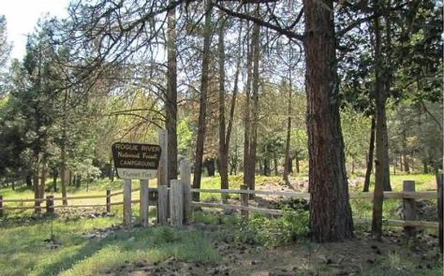 FLUMET FLAT GROUP CAMPGROUND photo 3