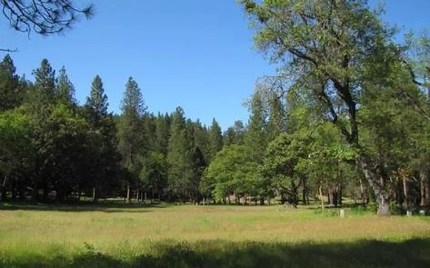 FLUMET FLAT GROUP CAMPGROUND photo 5