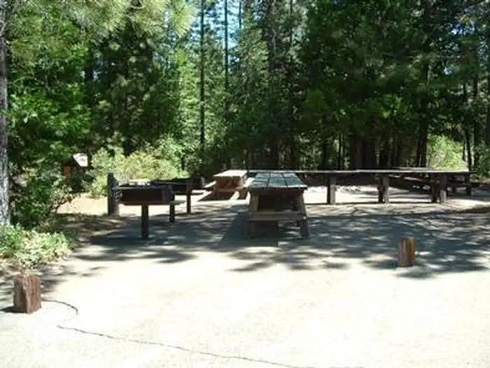 FORBES CREEK photo 2