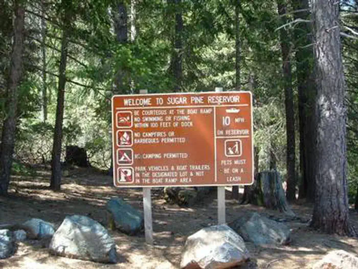 FORBES CREEK photo 3