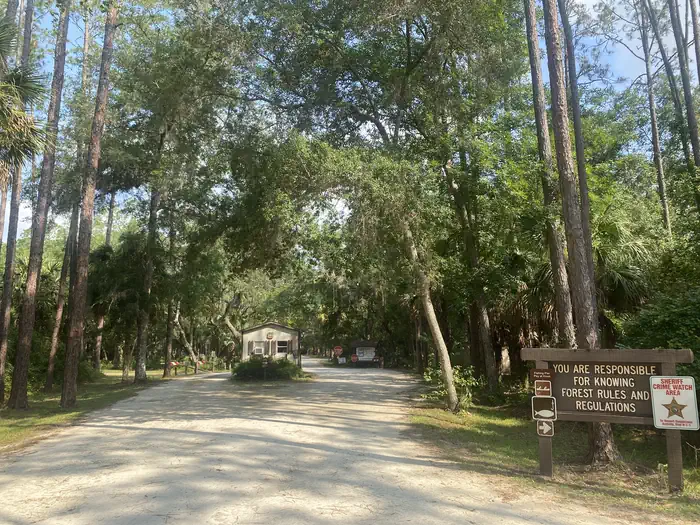 Fore Lake Campground photo 3