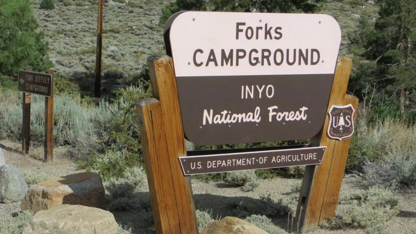 Forks Campground (Inyo) photo