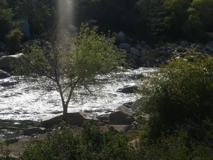 Forks of the Kern River Permits photo 2