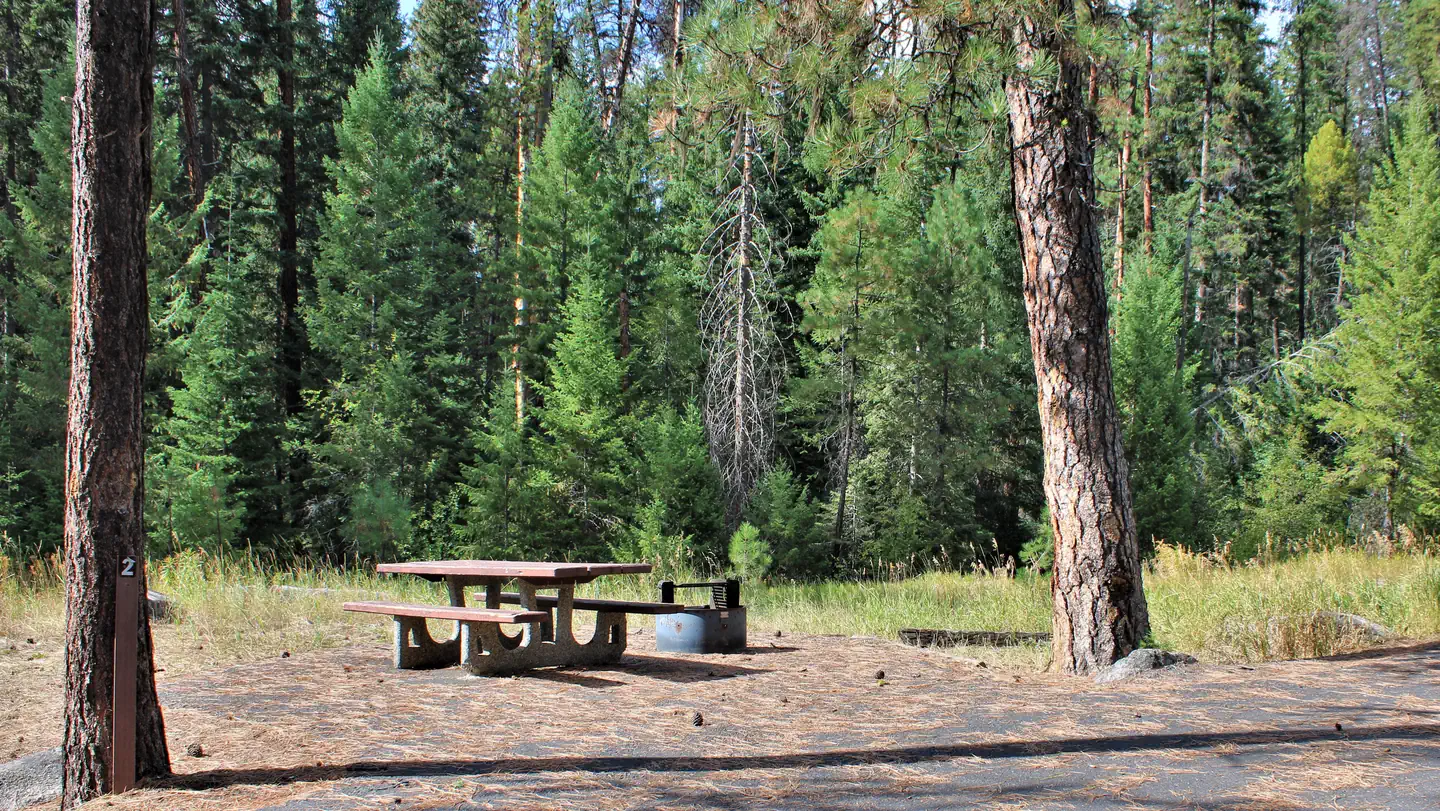 Four Mile photo