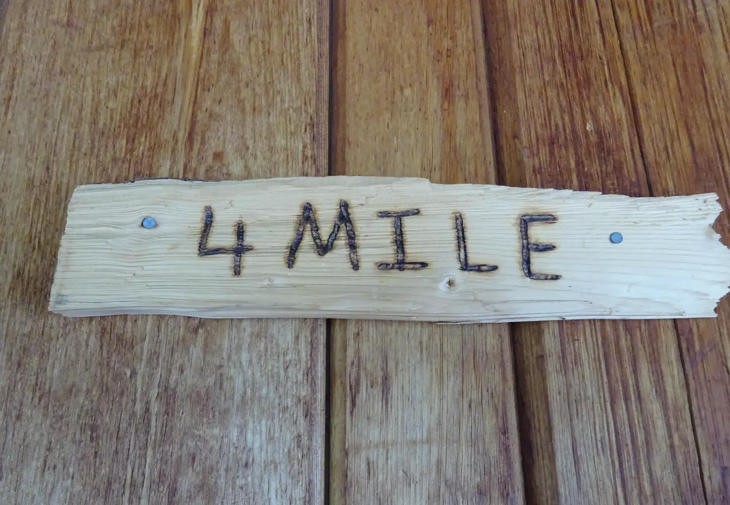 FOURMILE CABIN photo 2