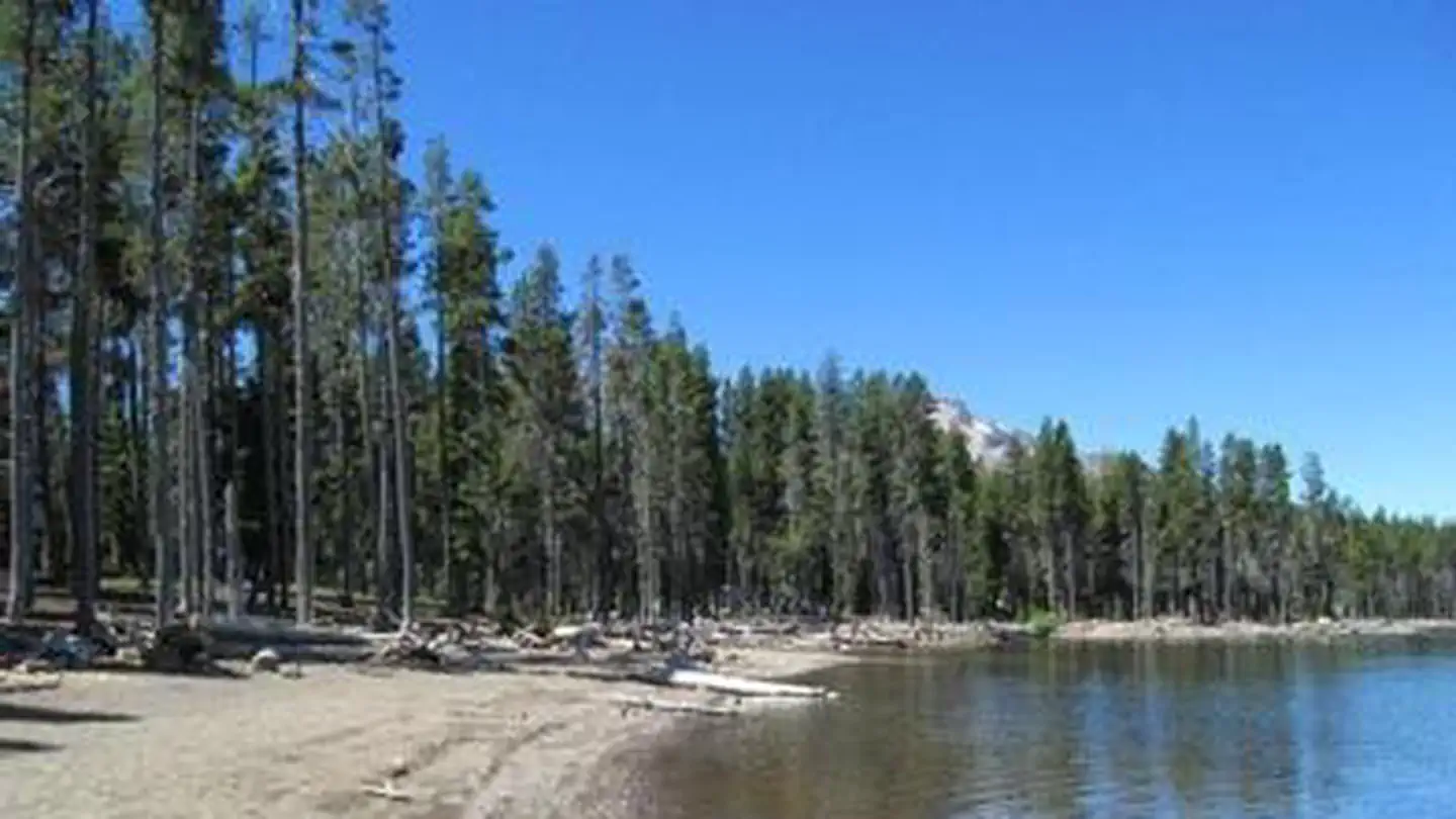 Fourmile Lake Campground photo