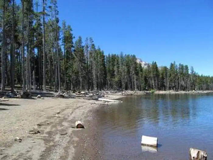 Fourmile Lake Campground photo 2