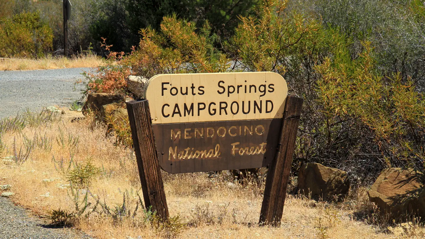 Fouts photo