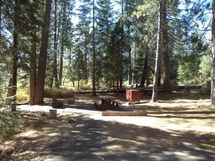 FOWLERS CAMPGROUND photo 3
