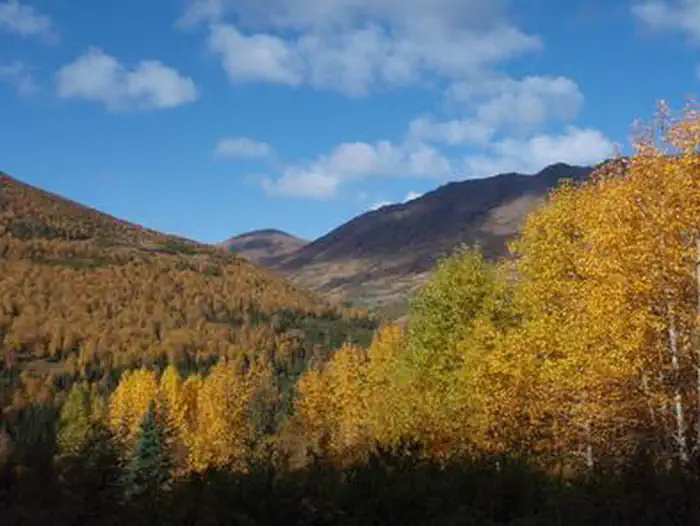 FOX CREEK CABIN (AK) photo 4