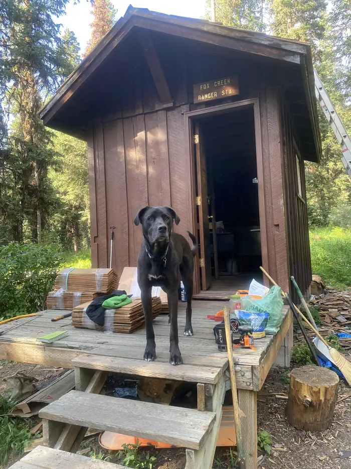 FOX CREEK CABIN (MT) photo 2