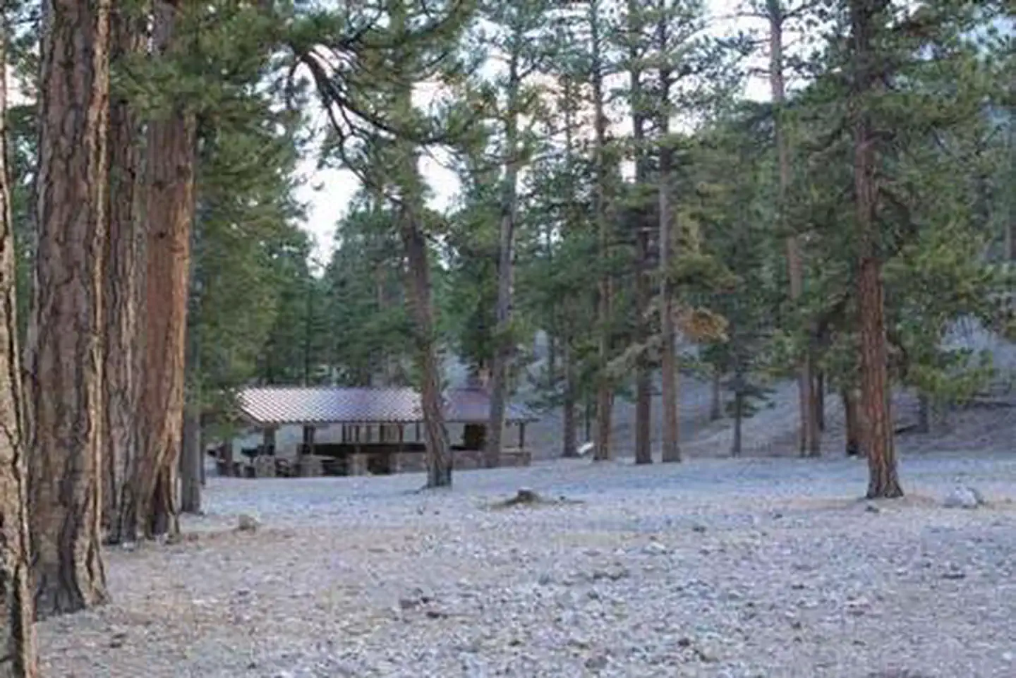 FOXTAIL GRP PICNIC AREA photo