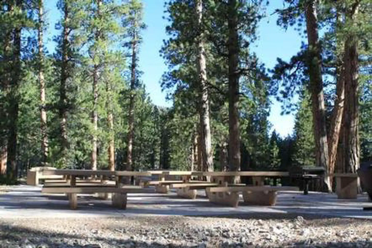 FOXTAIL GRP PICNIC AREA photo 3