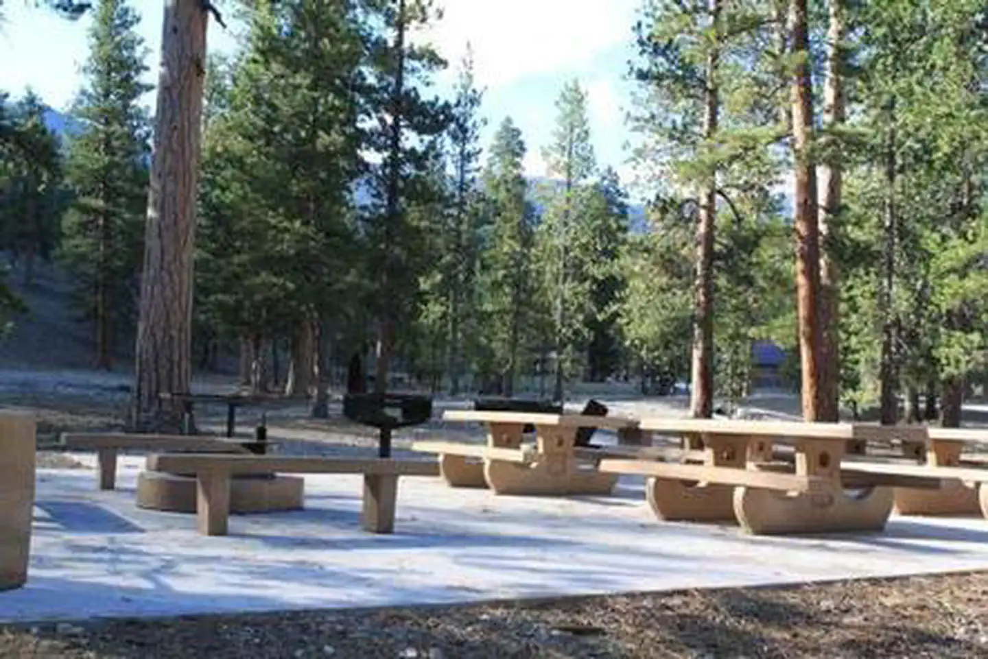FOXTAIL GRP PICNIC AREA photo 4