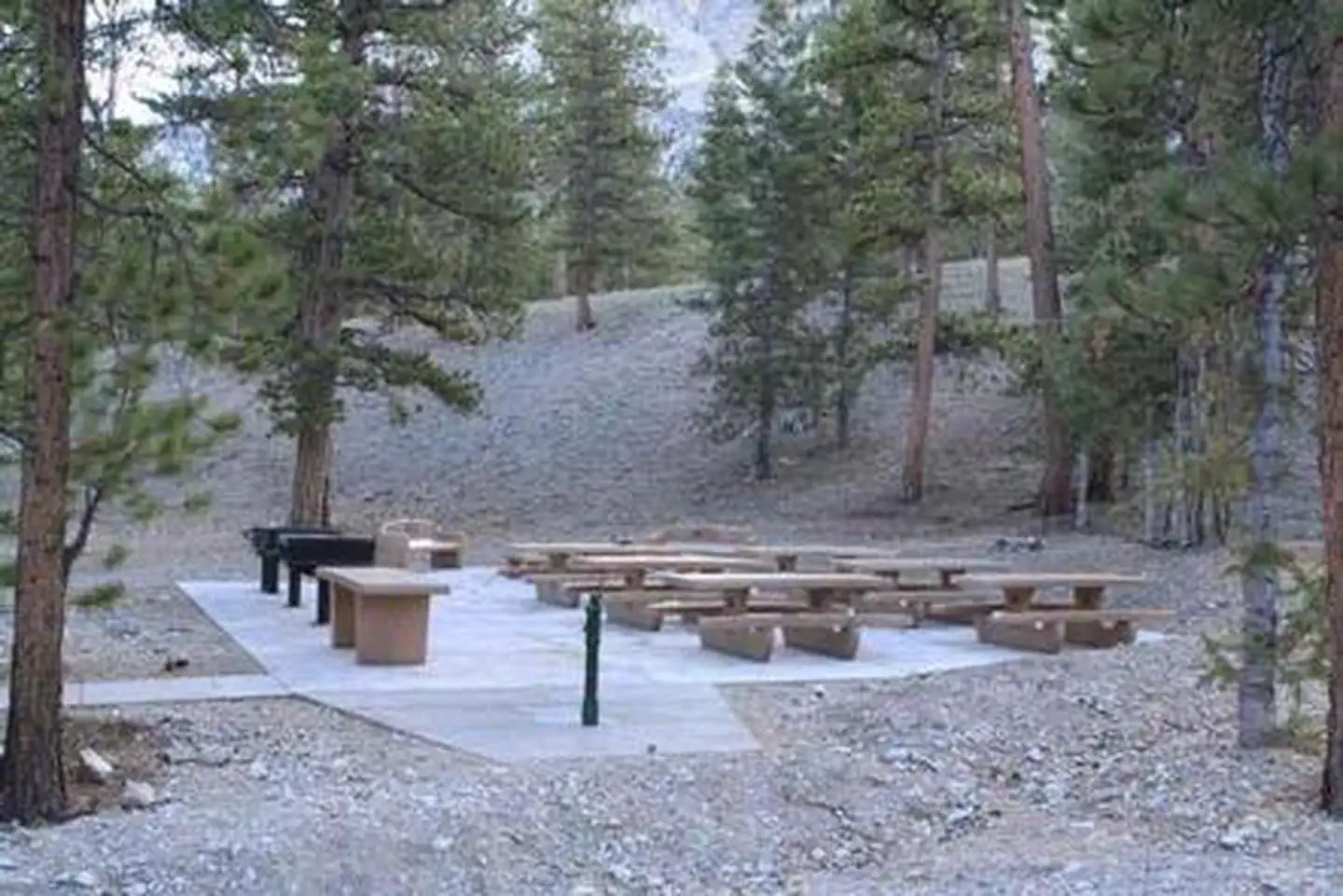 FOXTAIL GRP PICNIC AREA photo 5
