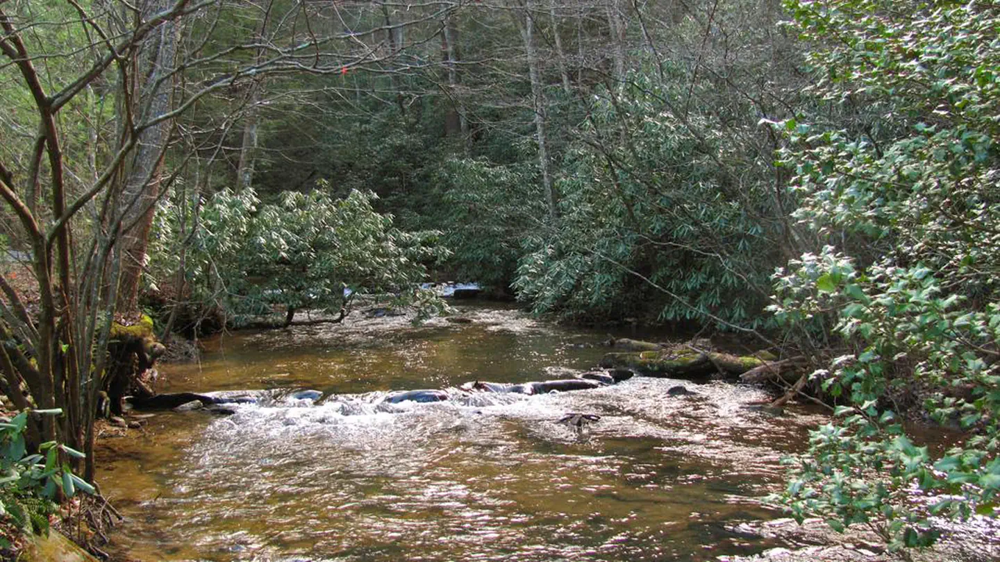Frank Gross Campground photo