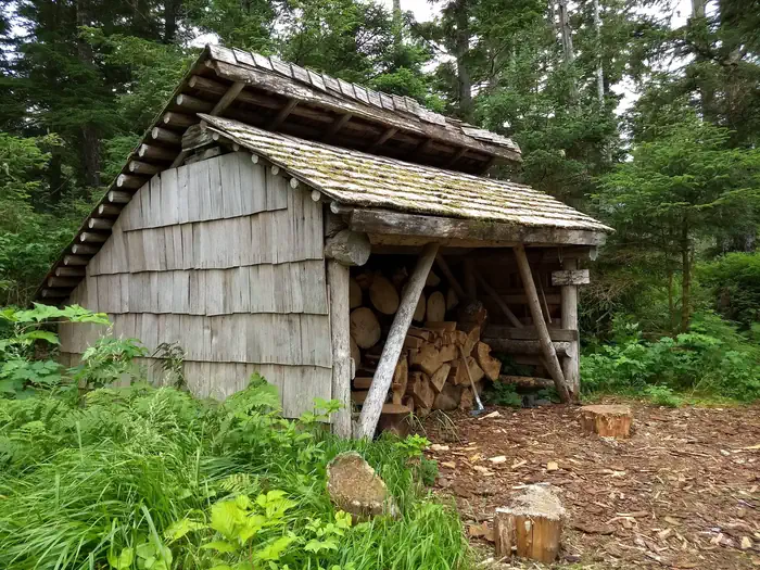 FREDS CREEK CABIN photo 3