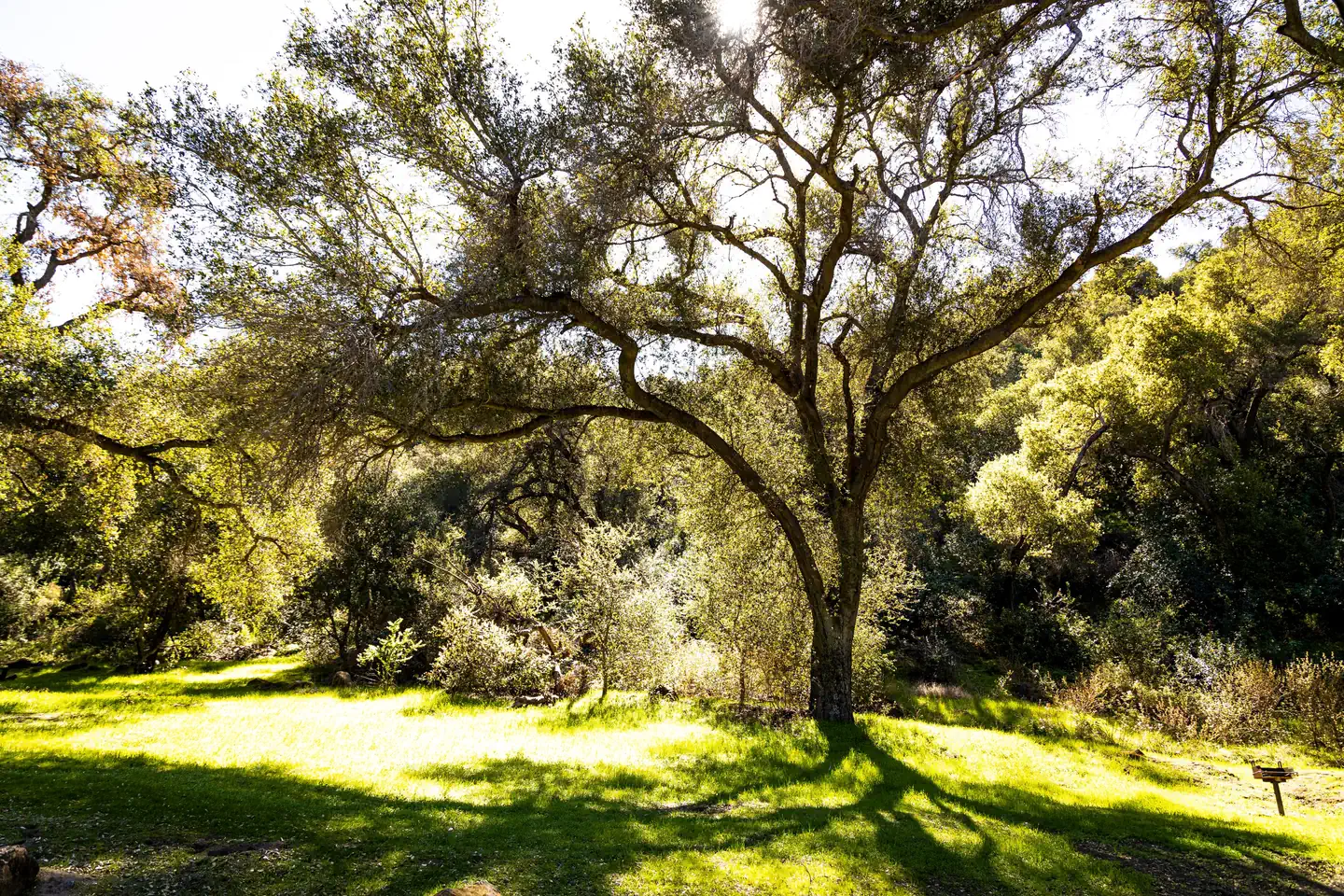 FREMONT CAMPGROUND photo