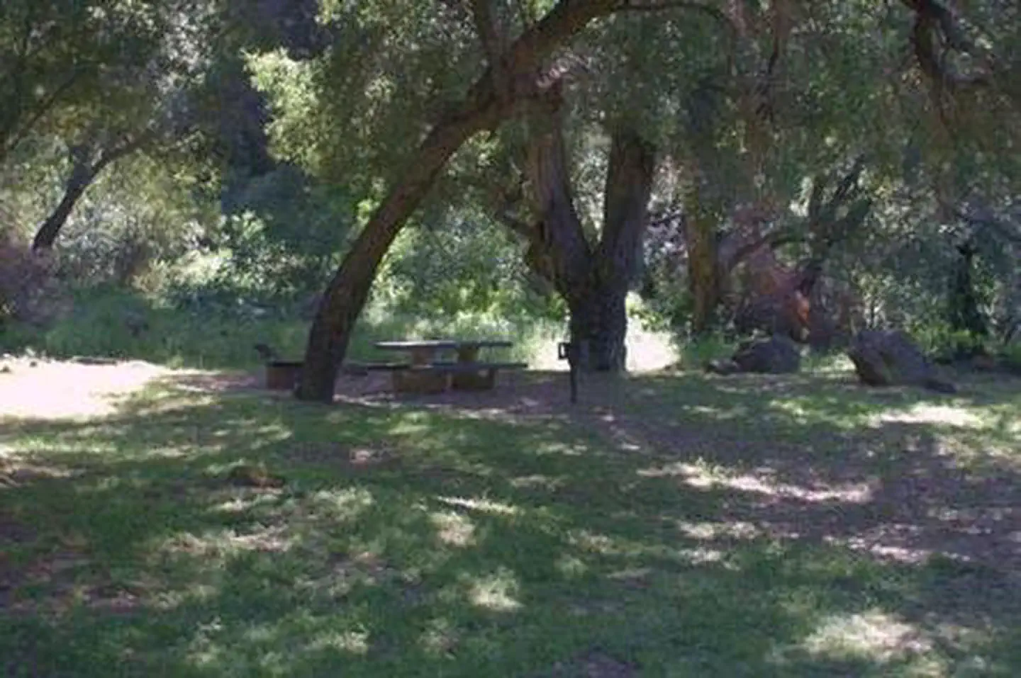 FREMONT CAMPGROUND photo 4