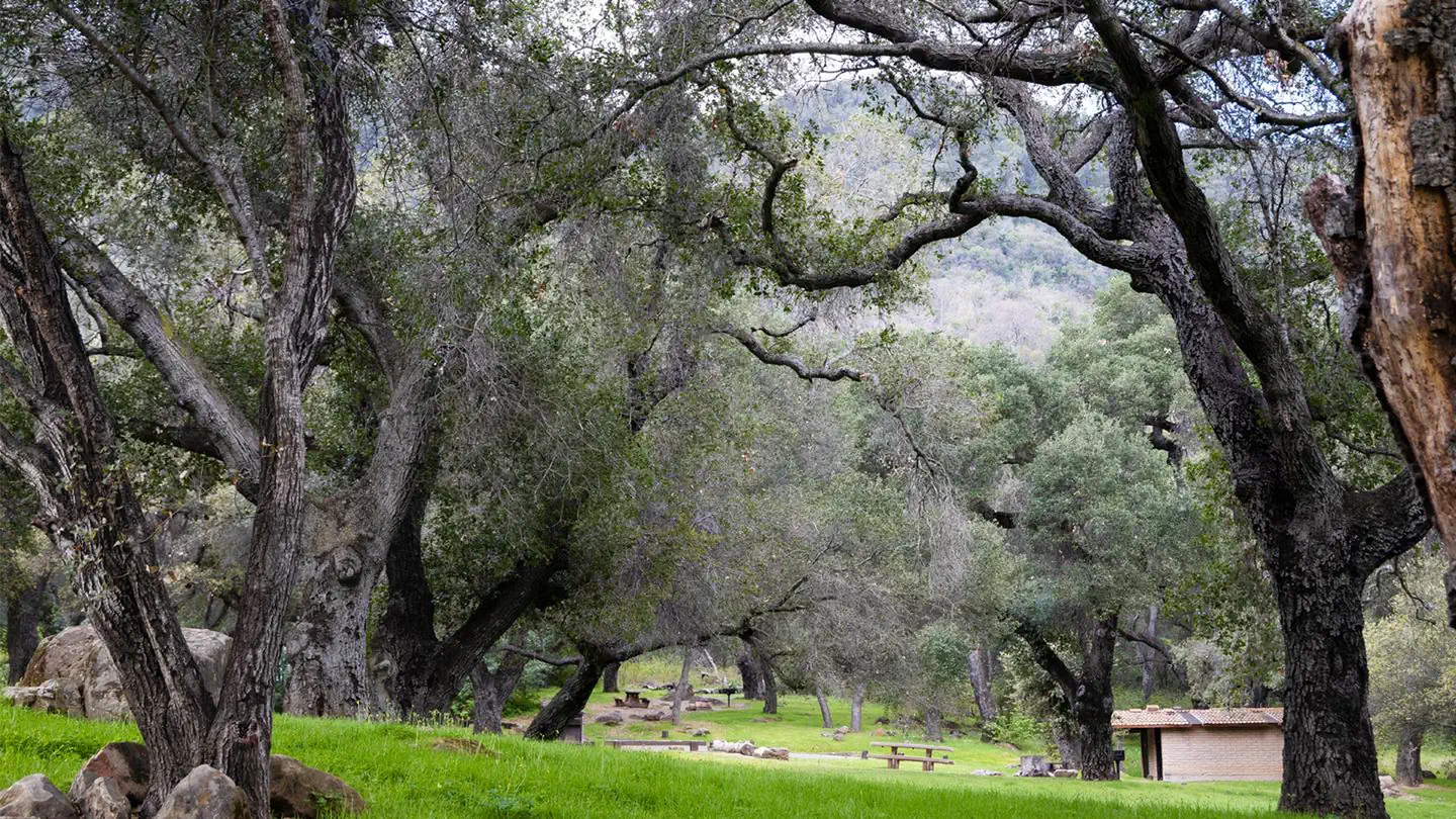 FREMONT CAMPGROUND photo 5