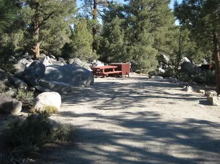 FRENCH CAMP photo 4