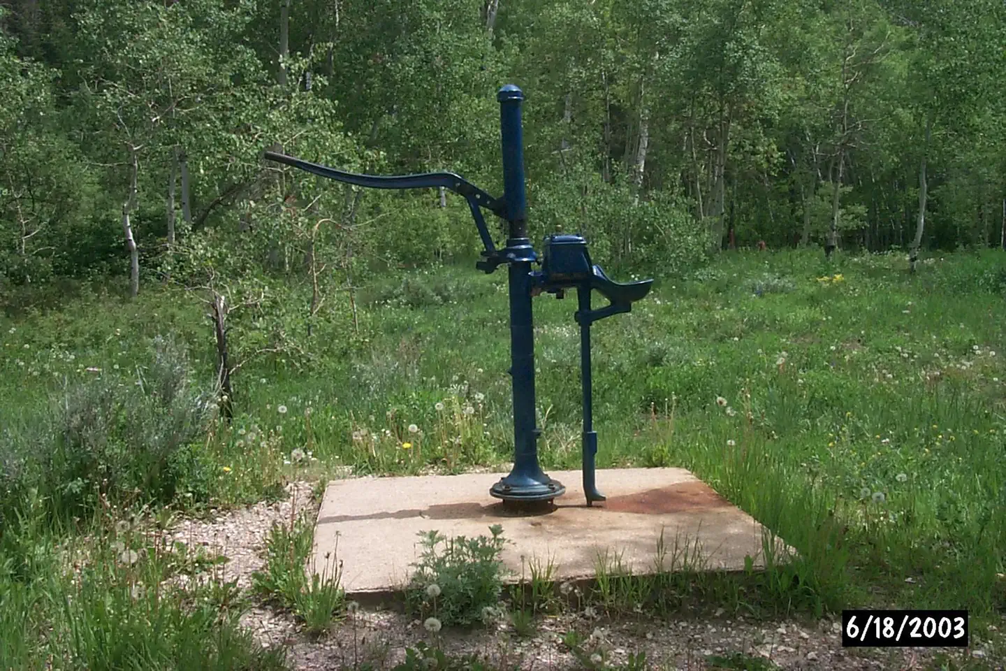 French Creek Campground (WY) photo 4