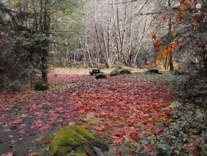 FRENCH PETE CAMPGROUND photo 2