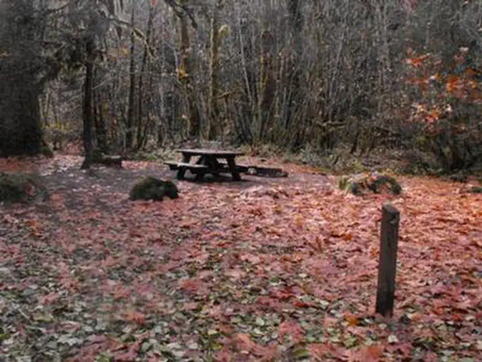 FRENCH PETE CAMPGROUND photo 3