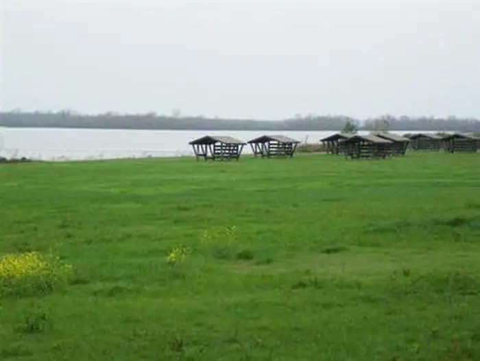 FRIENDSHIP PARK photo 5