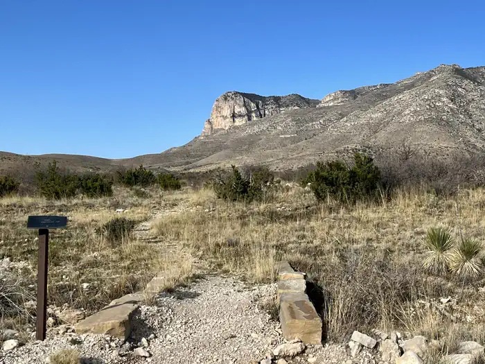 Frijole Horse Corral Campground photo 2