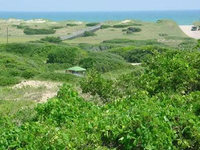 Frisco Campground photo 4