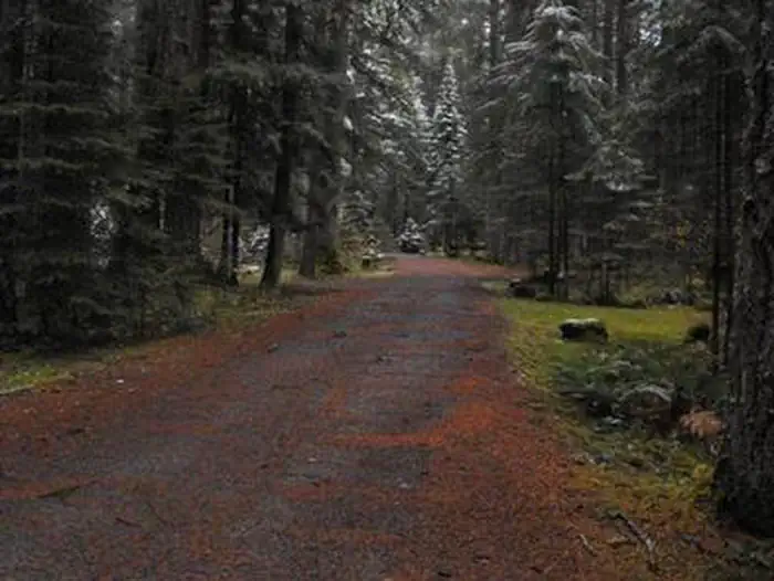 FRISSELL CROSSING CAMPGROUND photo 2