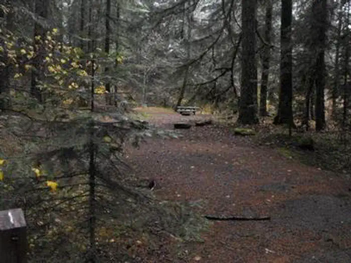 FRISSELL CROSSING CAMPGROUND photo 3