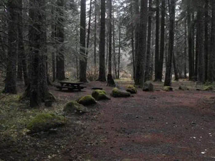 FRISSELL CROSSING CAMPGROUND photo 4