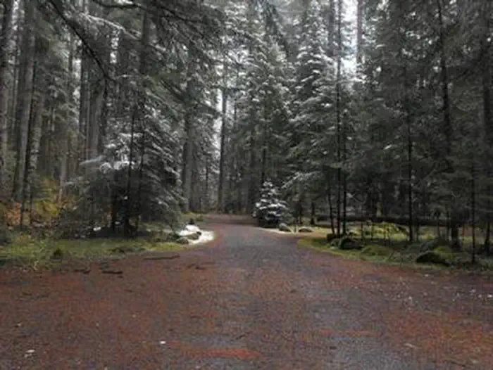 FRISSELL CROSSING CAMPGROUND photo 5