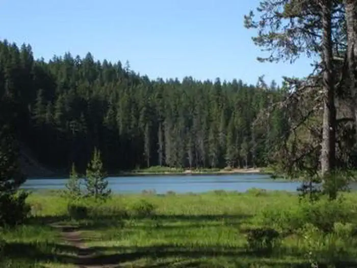 FROG LAKE photo 3
