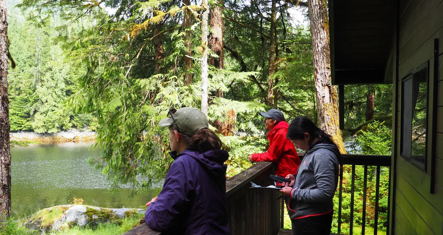 FROSTY BAY CABIN photo