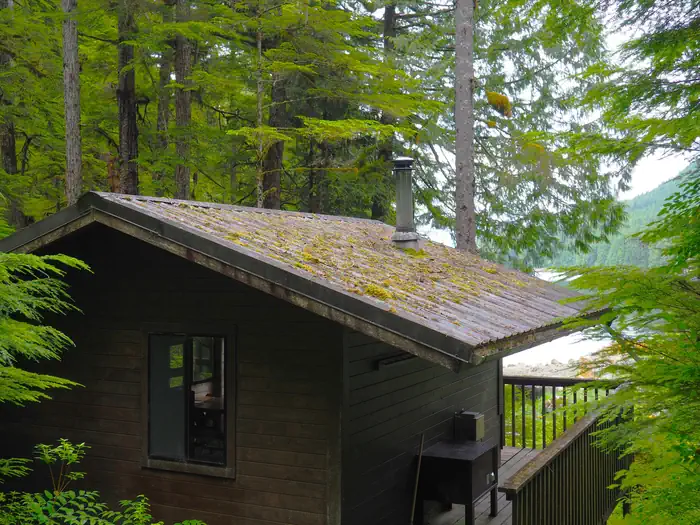 FROSTY BAY CABIN photo 3
