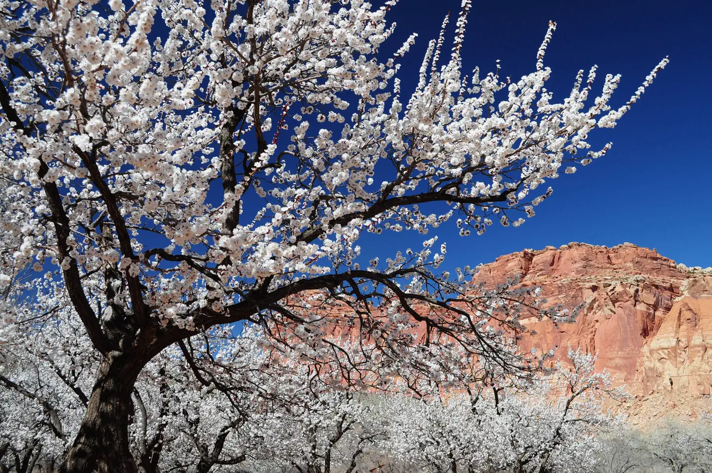 FRUITA CAMPGROUND photo 4